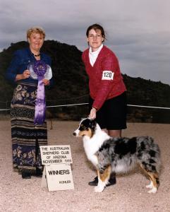 Zoe winning Winners Bitch for a 5 point major under ASCA Senior Breeder Judge Janet Goin at the ASCAZ Silver Specialty in Phoenix, AZ, November 1998       